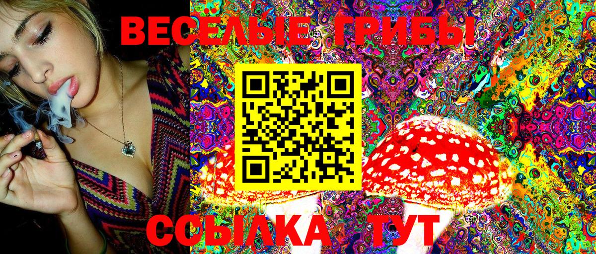 Галлюциногенные грибы Psilocybe Альметьевск